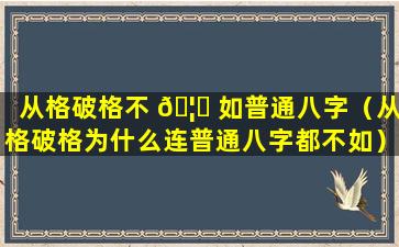 从格破格不 🦁 如普通八字（从格破格为什么连普通八字都不如）